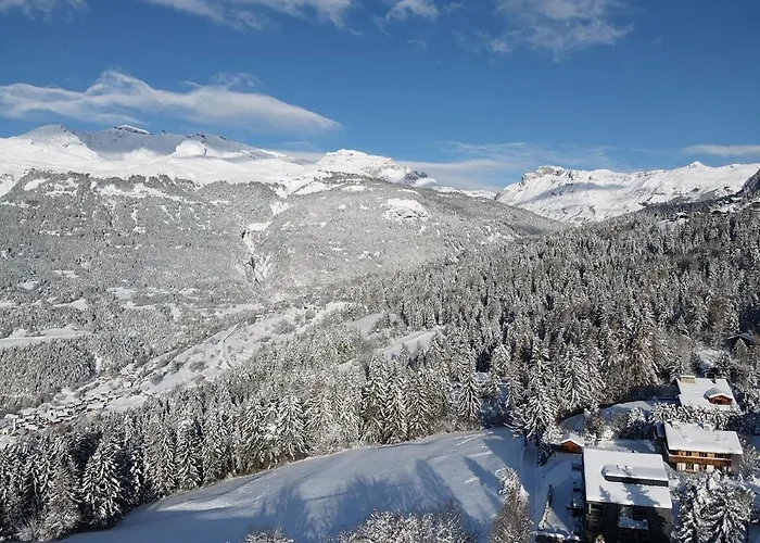 Chalet Aigle *